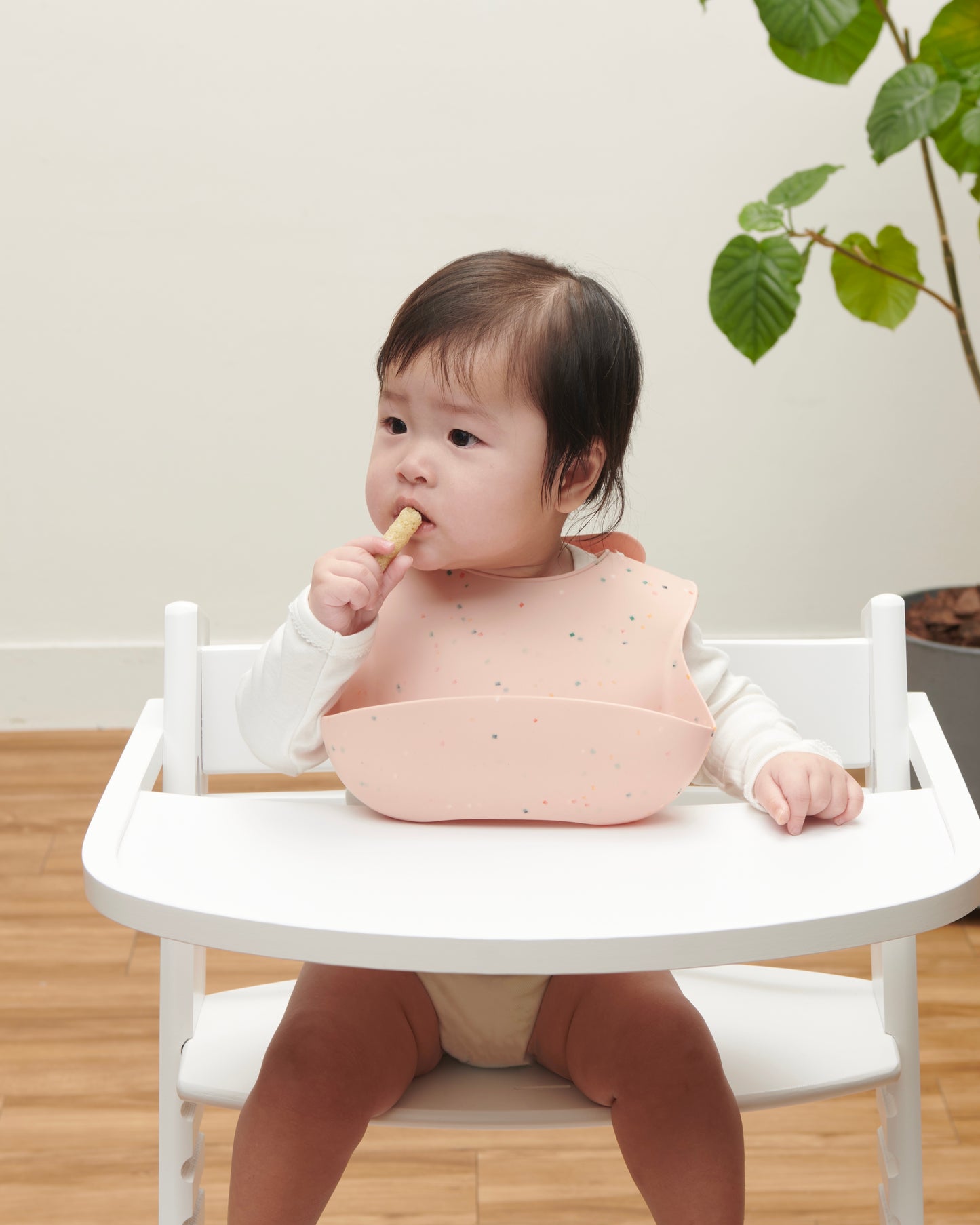コンフェッティ2点セット