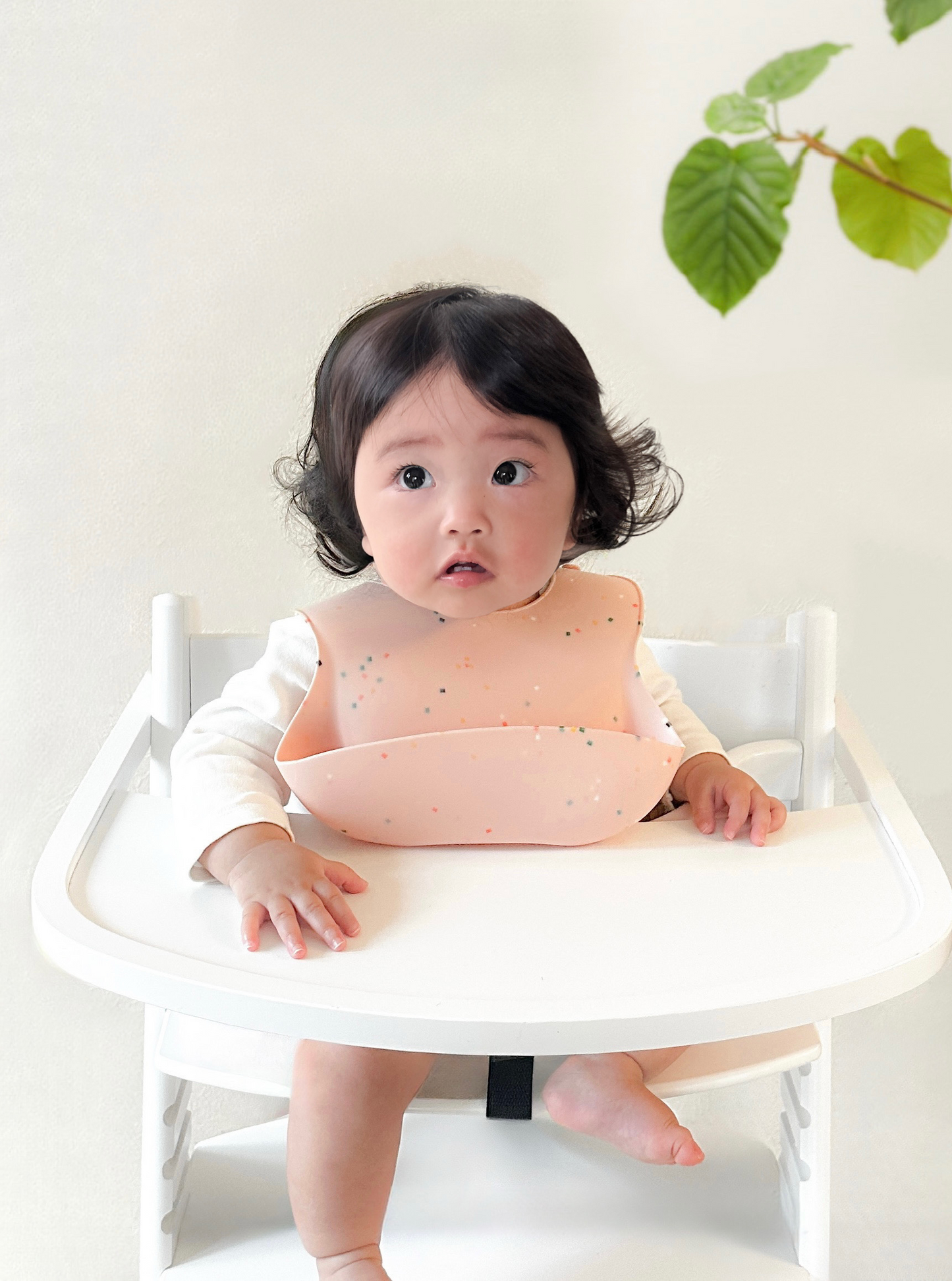 コンフェッティ シリコンスタイ